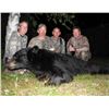 Image 6 : Black Bear Hunt | Ontario, Canada
