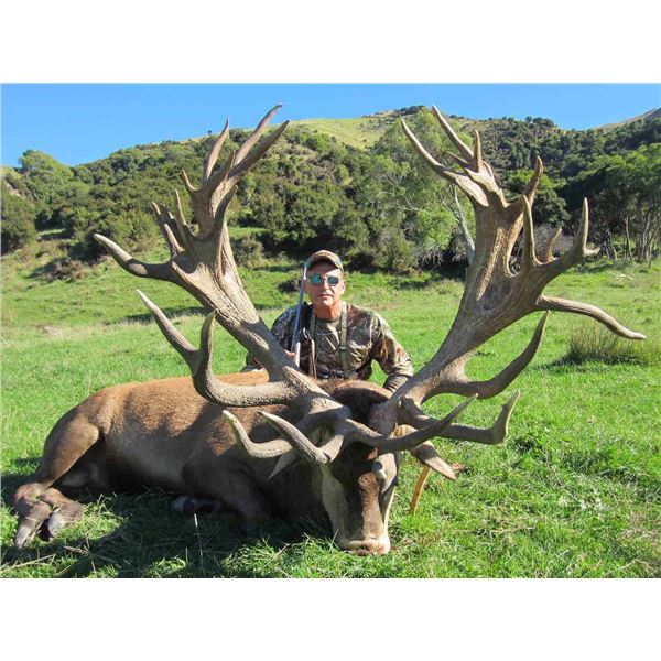 Red Stag Hunt | New Zealand