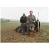 Image 4 : Safari Art - Wild Boar Hunt | Serbia