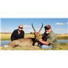 Image 1 : Matwetwe Safaris | South African Safari for Two Hunters