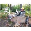 Image 5 : Five Star Ohio Whitetail Hunt for Two Hunters | Bellefontaine, Ohio