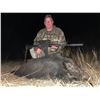 Image 1 : Texas Panhandle Pig Hunt | West Texas