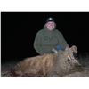 Image 4 : Texas Panhandle Pig Hunt | West Texas