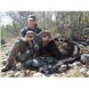 Image 2 : Trophy Exotic Hunt | Texas