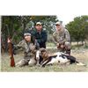 Image 3 : Trophy Exotic Hunt | Texas
