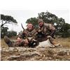 Image 5 : Trophy Exotic Hunt | Texas