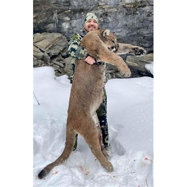 Cougar Hunt | Idaho