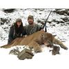 Image 6 : Cougar Hunt | Idaho