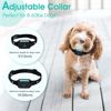 Image 3 : PET BARK COLLAR FOR SMALL/MEDIUM DOGS - RECHARGEABLE NO SHOCK WITH 4 MODES