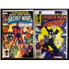 Image 1 : SECRET WARS NO.2/SPIDER-MAN AND DAREDEVIL NO.141