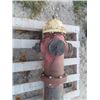 Image 2 : 1955 Fire Hydrant