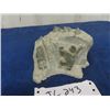 Image 2 : Soap Stone - Seal Hunt on the Rocks Carving Signed 258 Syllobic