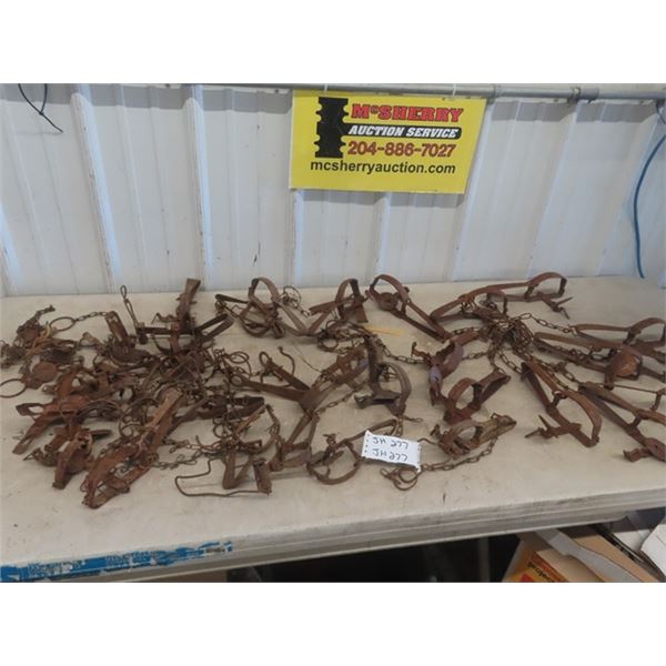 12 Misc. Traps + Assorted Trap Parts, 12 Victor 1 1/2 Single Spring Traps