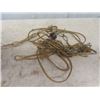Image 2 : Hanging Spaghetti Lamp- Approx 13" Wide