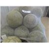 Image 3 : Bag of 16 Soccer Balls