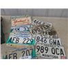 Image 2 : 20 Manitoba License Plates , 16" Porcelain Barn Light Shade