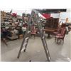 Image 1 : 6' Multi Ladder