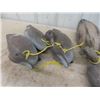 Image 2 : 11 Plastic Floating Duck Decoys