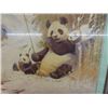 Image 2 : Framed Winter Pandas, Assiniboine Park Zoo Signed by Dwayne Harty 24" x 30"