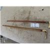 Image 1 : 2 Walking Sticks with Carved Bone Handle