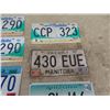 Image 3 : 7 License Plates; 3 Manitoba, 2 Minnesota, 1 Arizona
