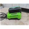 Image 2 : Green Works 80Volt Cordless Chainsaw with Charger - Battery will not charge