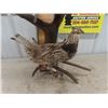 Image 3 : Spectacular 3 Bird Taxidermy Display Grouse 31" X 35"