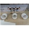 Image 2 : Vanity 3 Light Fixture , 3 Blade Ceiling Fan