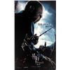 Image 1 : Harry Potter Ralph Fiennes Autograph Signed Poster