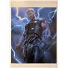 Image 1 : Chris Hemsworth Autograph Signed Thor Poster