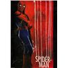 Image 1 : Signed Spiderman Tom Holland Poster