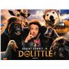 Image 1 : Dolittle Poster Robert Downey Jr. Autographed Signed