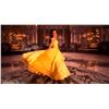 Image 1 : Emma Watson Autograph Signed Beauty and the Beast Poster