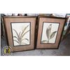 Image 1 : LOT OF TWO FRAMED UNDER GLASS PICTURES OF FLOWERS