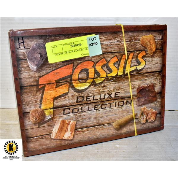 FOSSILS/ROCK COLLECTION IN BOX