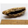 Image 1 : 1) BONSAI SUISEKI NATURAL GOBI AGATE, 89.3 GRAM