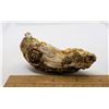 Image 2 : 1) BONSAI SUISEKI NATURAL GOBI AGATE, 89.3 GRAM