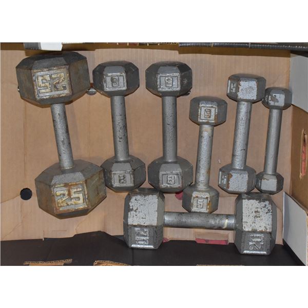 VARIOUS DUMBBELL WEIGHTS