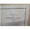 Image 2 : Map of the Territory of Hawaii 1904 Framed & Matted 42"x32" (has some water damage)