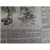 Image 8 : Copy of Commercial Advertiser Newspaper Honolulu, Hawaii Territory March 12, 1901