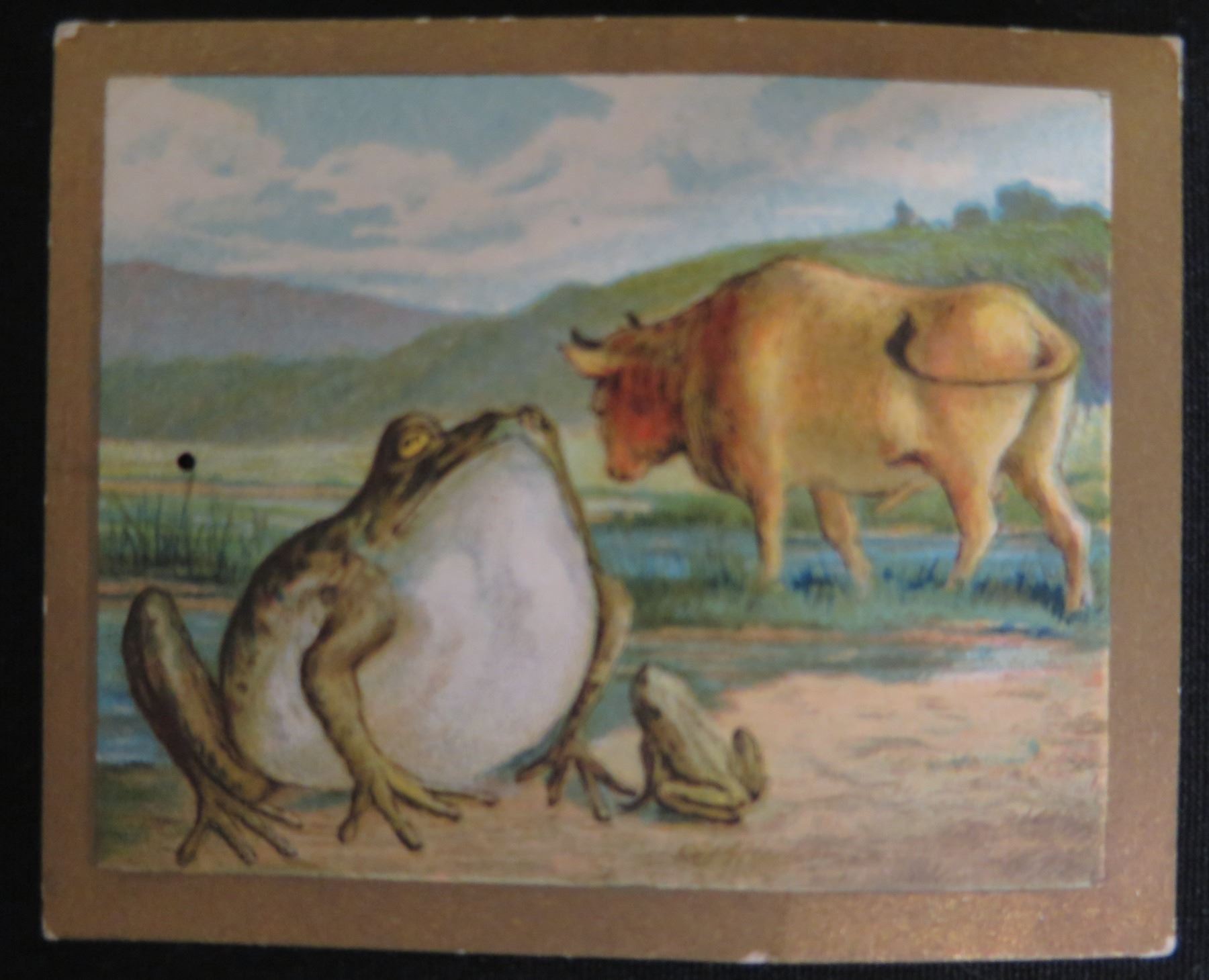 frog morton tobacco review Alternative to Frog Morton's Cellar tobacco frog morton tobacco review Alternative to Frog Morton's Cellar tobacco