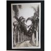 Image 2 : Qty 10 Vintage Photographs Waikiki, Hanauma Bay, Diamond Head, etc 5"L