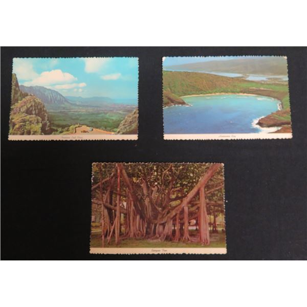 Qty 3 Color Photo Postcards: Pali View, Hanauma Bay & Banyan Tree