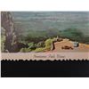 Image 3 : Qty 3 Color Photo Postcards: Pali View, Hanauma Bay & Banyan Tree