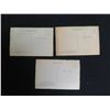 Image 8 : Qty 3 Color Photo Postcards: Pali View, Hanauma Bay & Banyan Tree