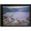 Image 1 : Menehune Fish Pond on Kauai Photo by John M. Becker, in Black Frame, 11"x9"