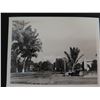 Image 4 : Qty 6 Black & White Photographs of Old Hawaii