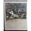 Image 1 : Banyan Tree Black & White Vintage Photograph Banyan St, off King 4"x5"