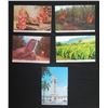 Image 1 : Qty 5 Postcards: Pork at Luau, Molokai Rock, Burning Cane, Taro Patch & Aloha Tower