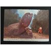 Image 3 : Qty 5 Postcards: Pork at Luau, Molokai Rock, Burning Cane, Taro Patch & Aloha Tower